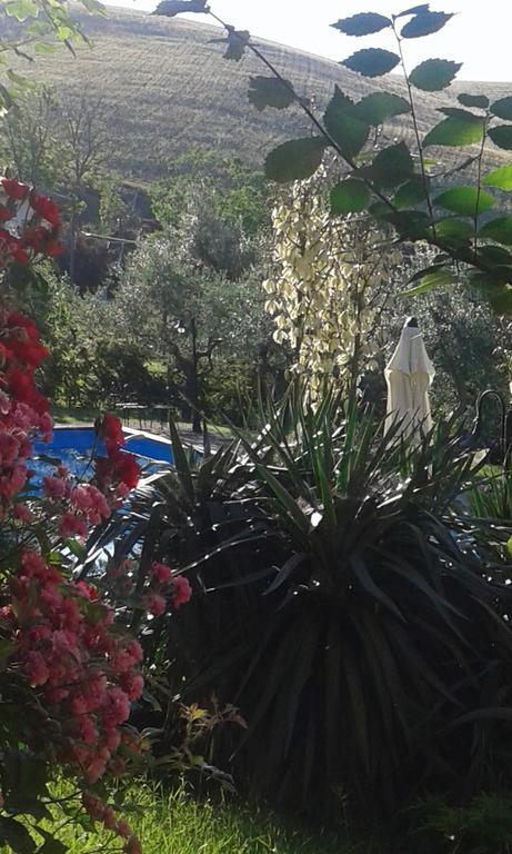 Agriturismo La Solagna Villa Montebello di Bertona Екстериор снимка