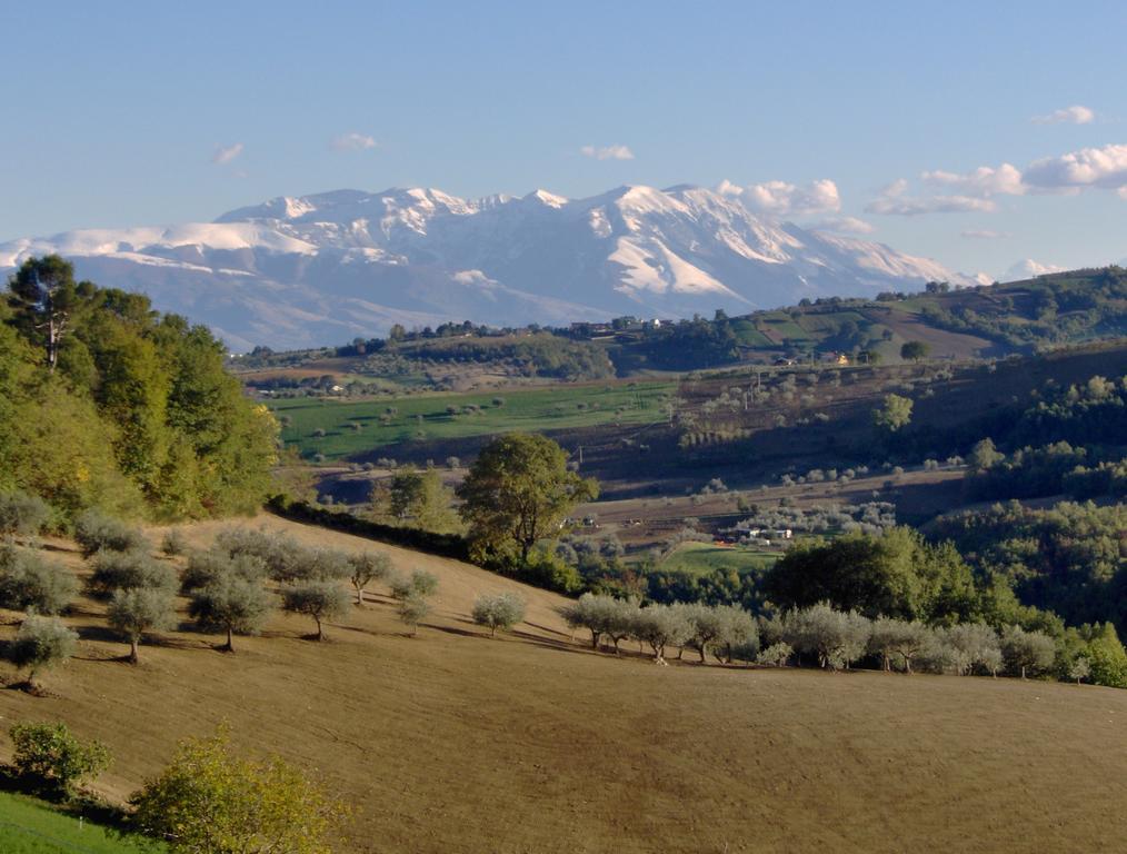Agriturismo La Solagna Villa Montebello di Bertona Екстериор снимка