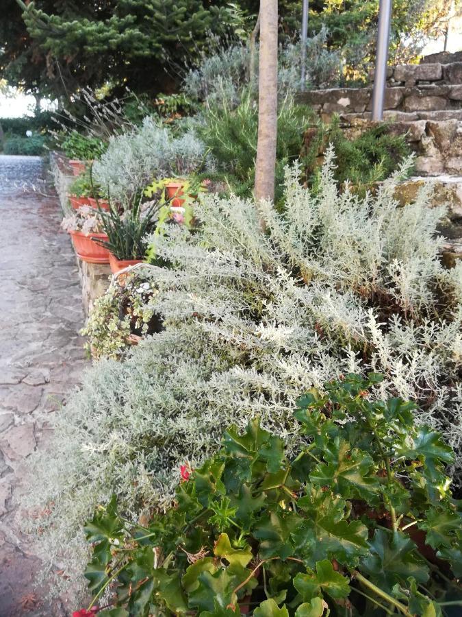 Agriturismo La Solagna Villa Montebello di Bertona Екстериор снимка